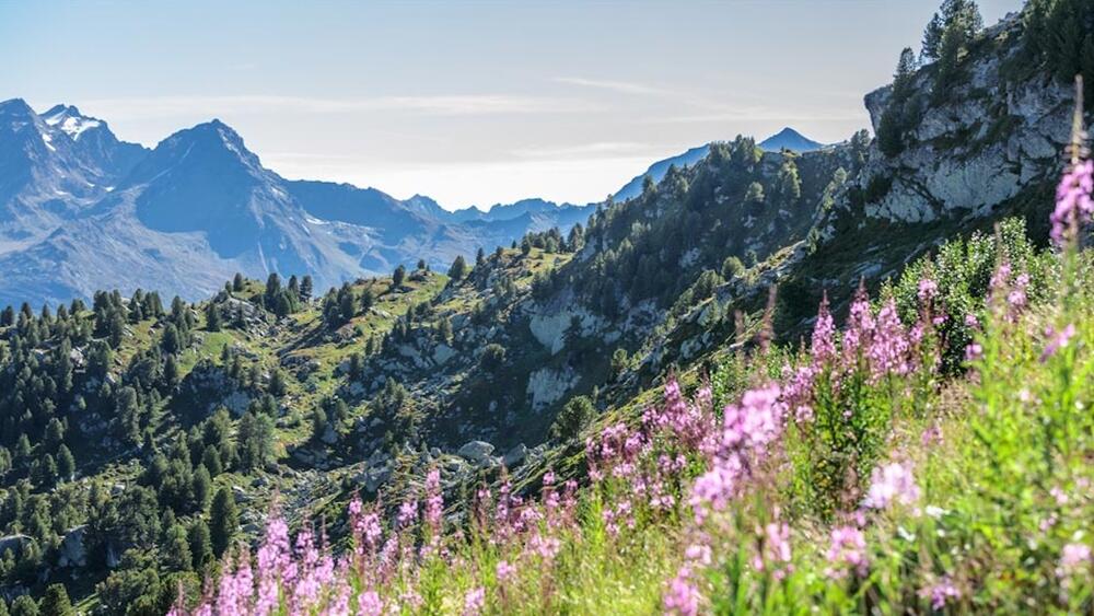 Randonnée à Bourg Saint Maurice