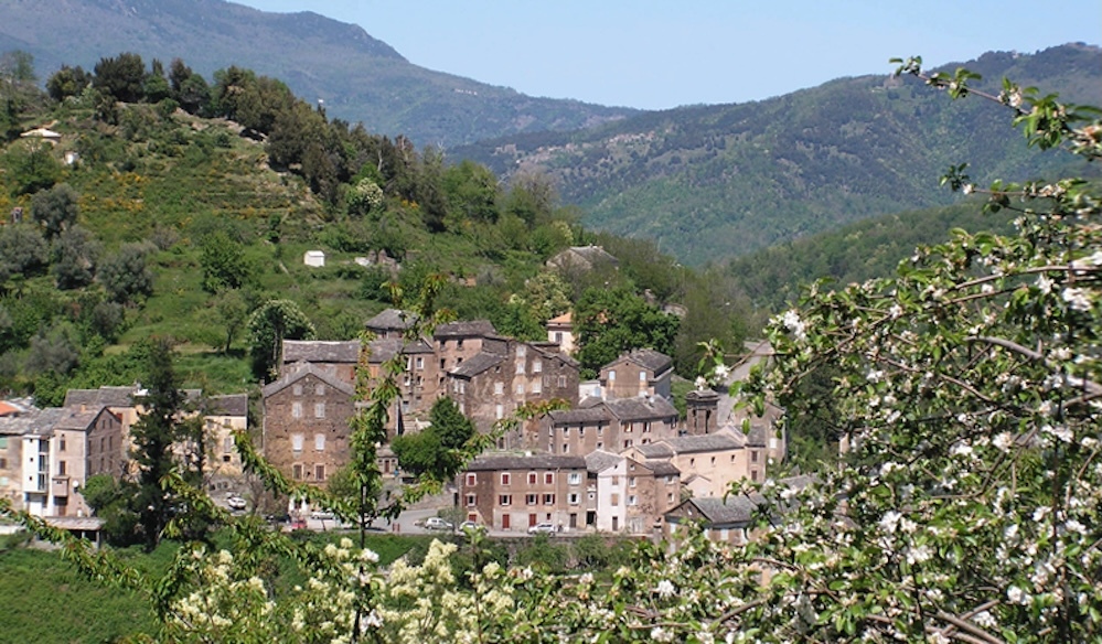 Monte Cervo Stazzona.jpg