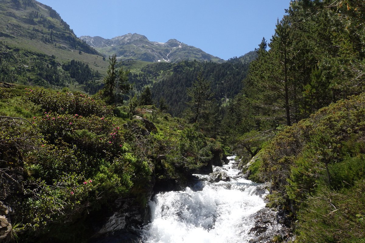 le-ruisseau-du-rioumajou.jpg