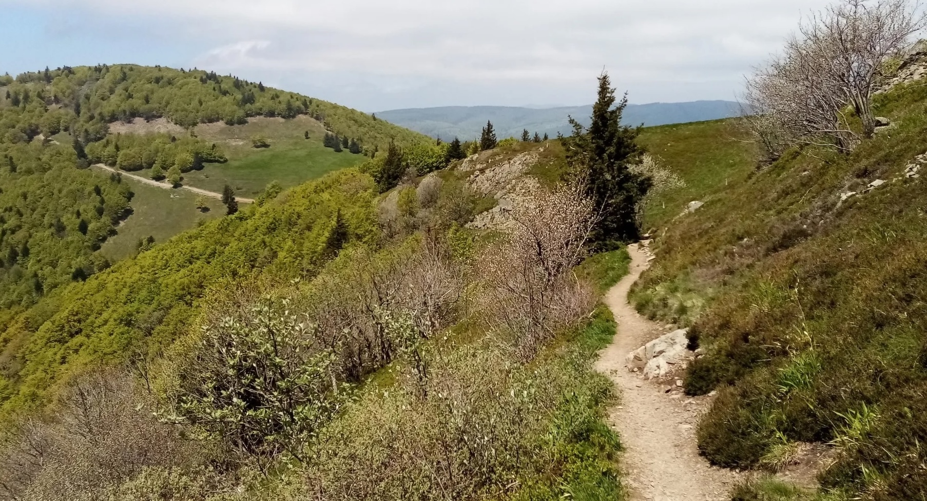 Grand Ballon randonnée.jpeg