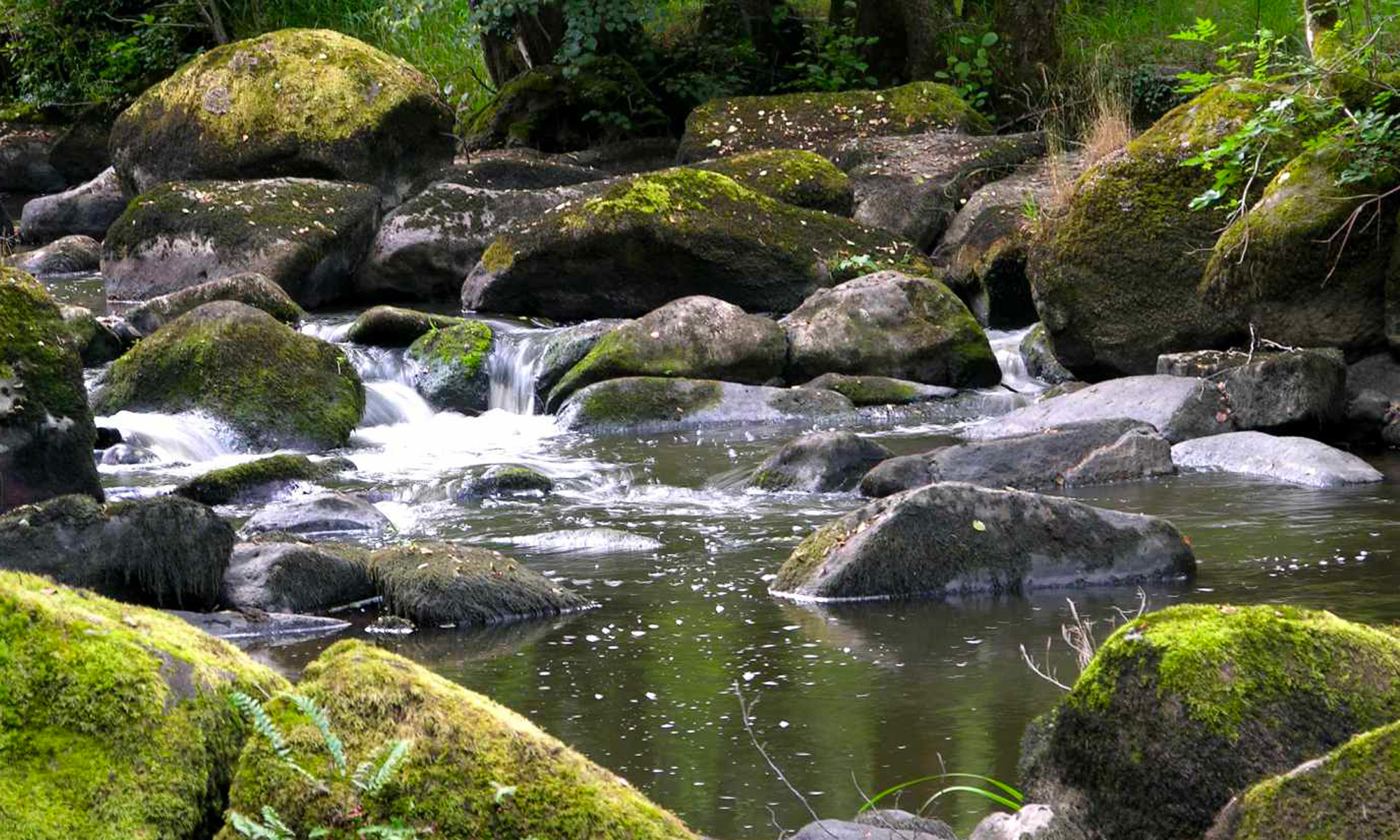 Gorges de la Rouvre.jpg