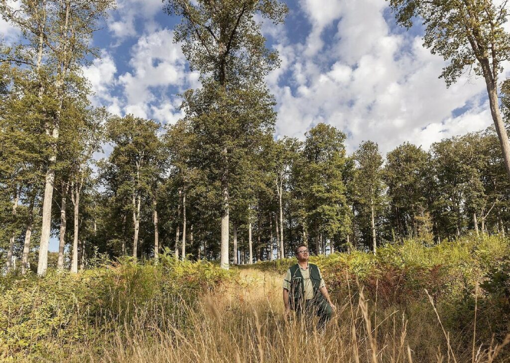 Foret Reno Valdieu.jpg