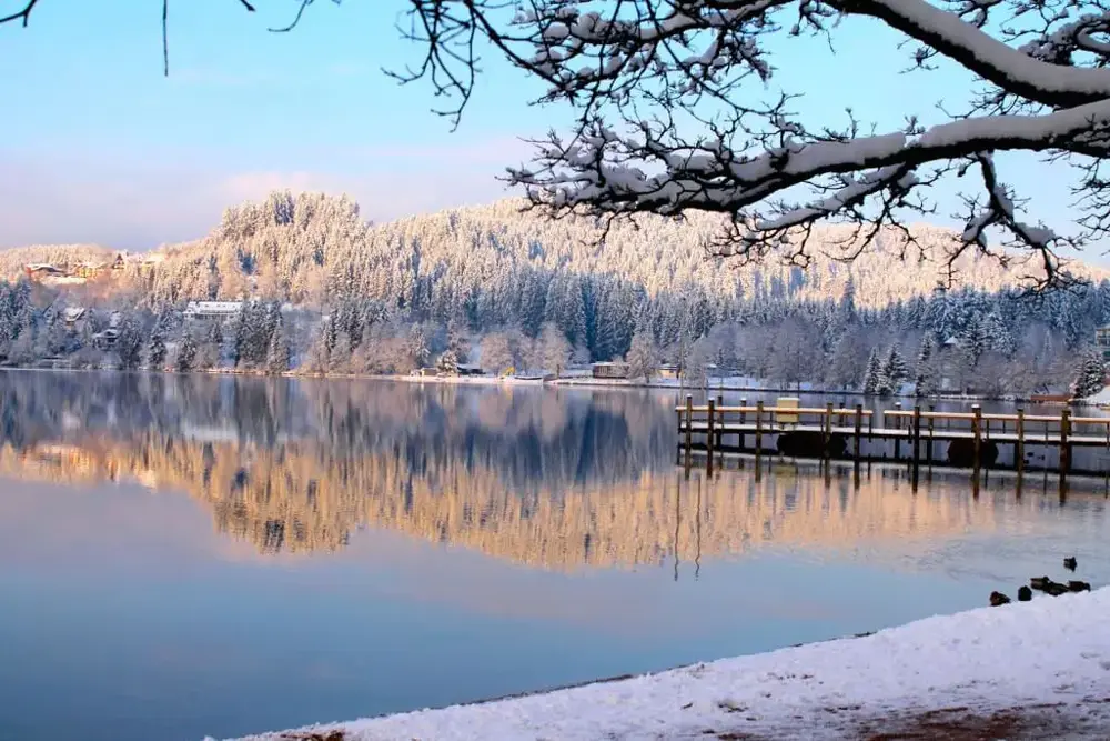 Webcam Titisee Neustadt