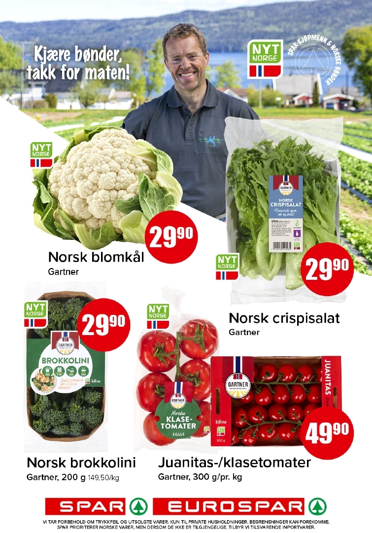 Spar 26-2.jpg