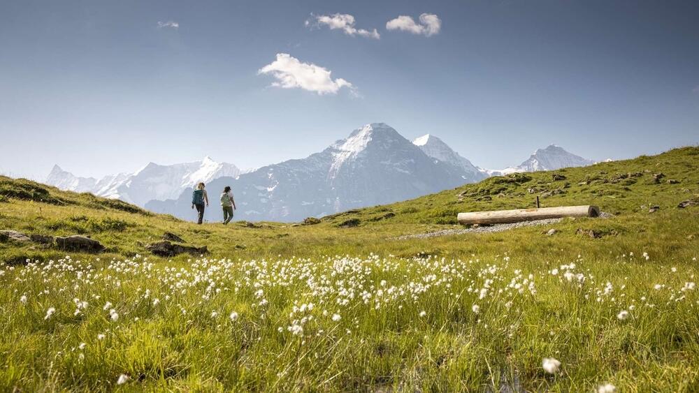 Les plus belles randonnées à Lauterbrunnen