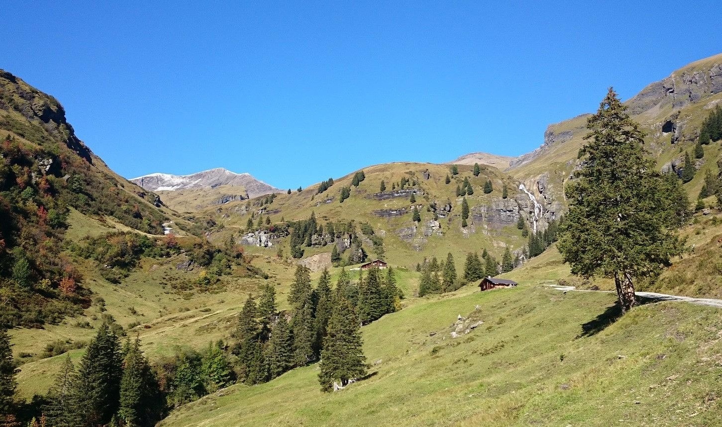 Schwarzwaldalp.jpg