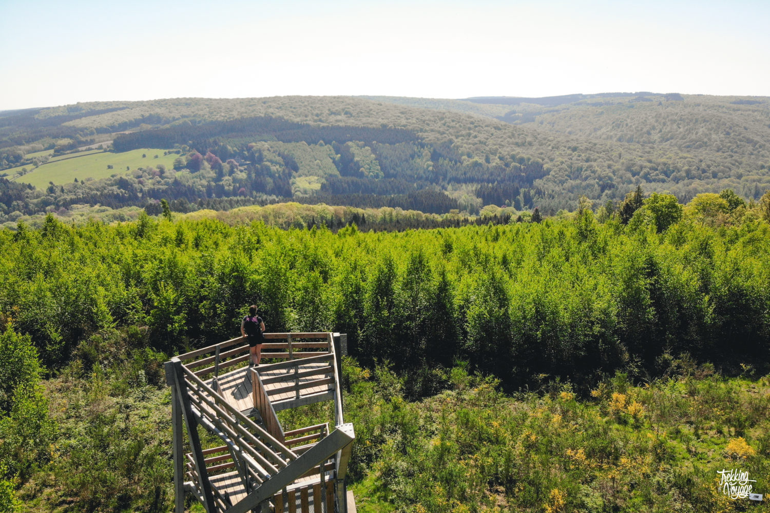 Foret de Saint Hubert.jpg