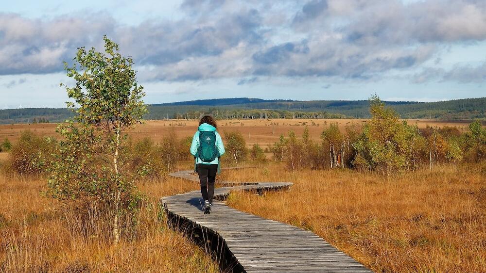 Plus belles randonnées dans les Hautes Fagnes