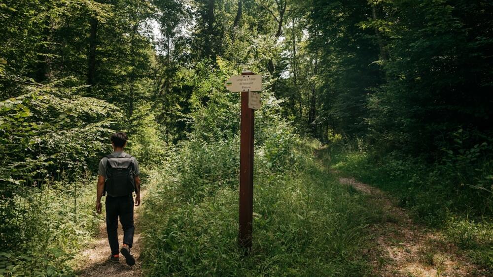 Plus belles randonnées en Haute Marne