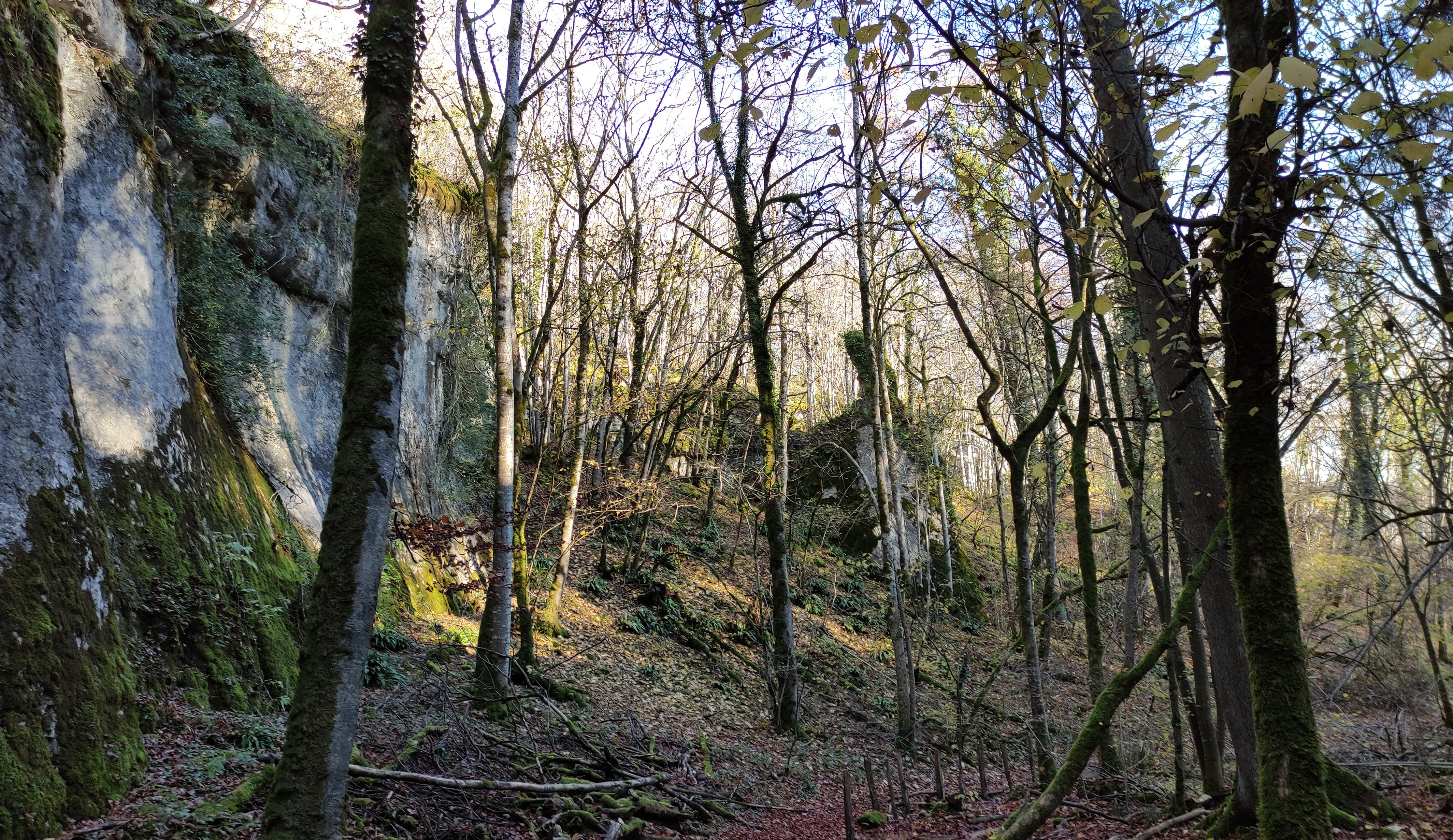 gorges Vingeannes.jpg