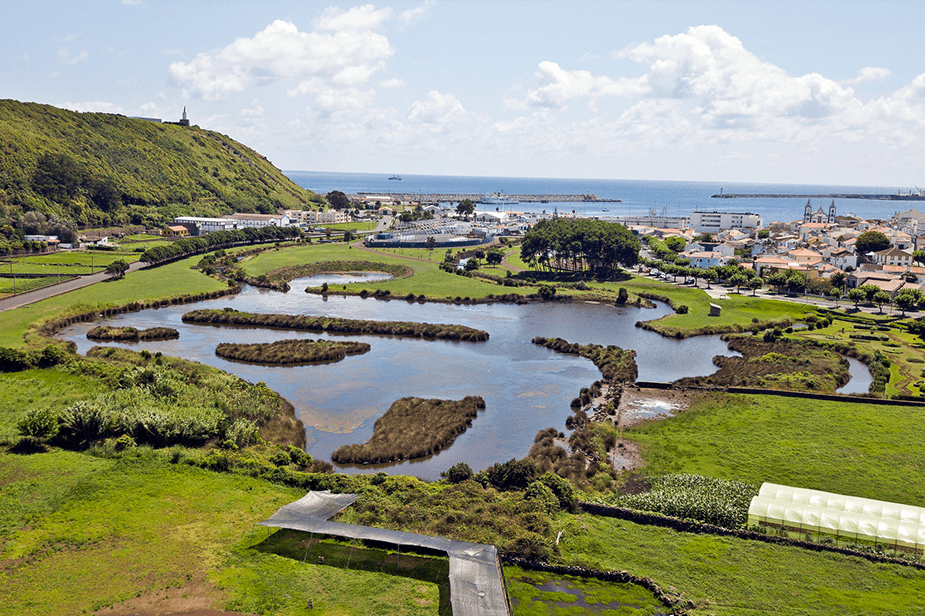 Paul-da-Praia-da-Vitoria.png