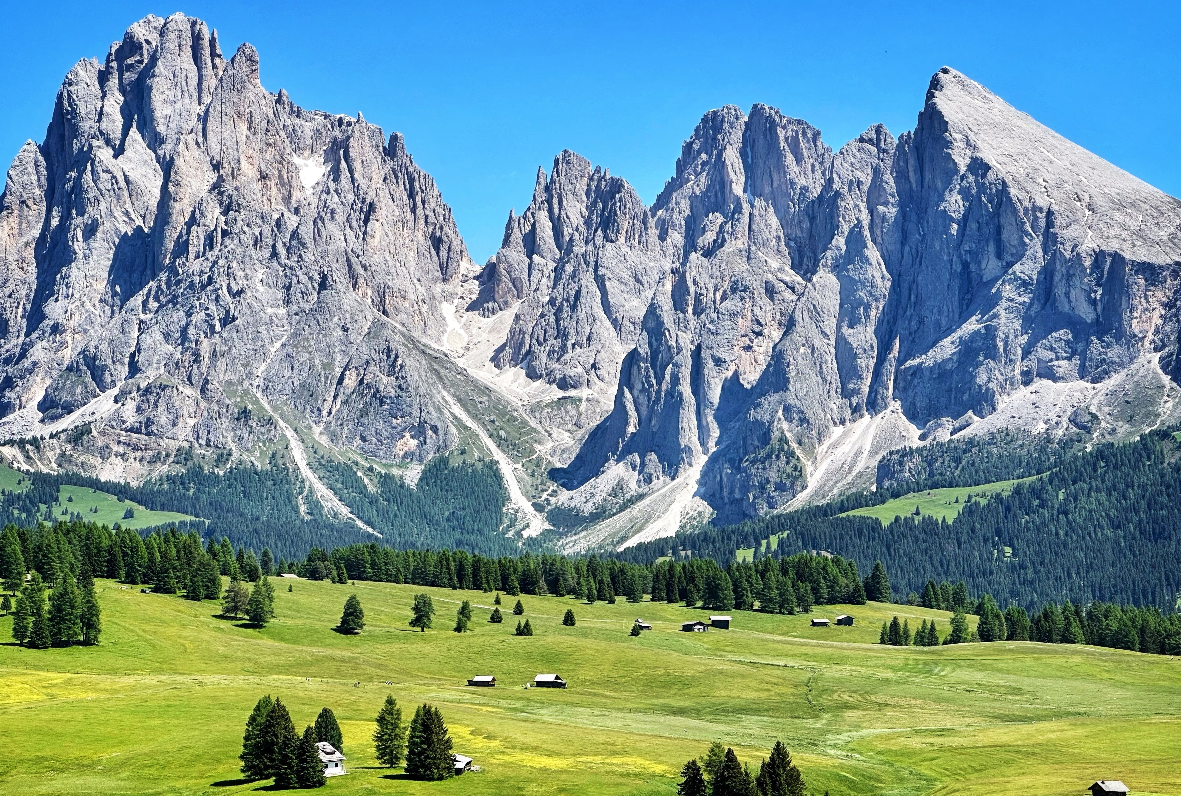 Alpe di Siusi.jpg