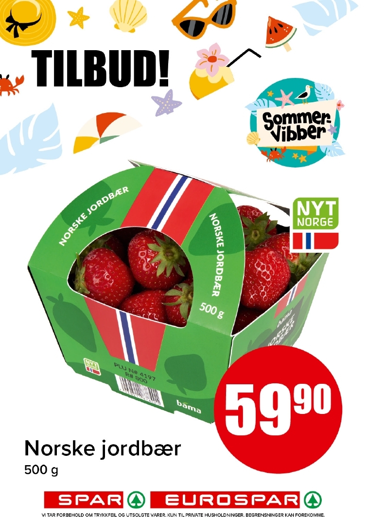 Spar 27-2.jpg