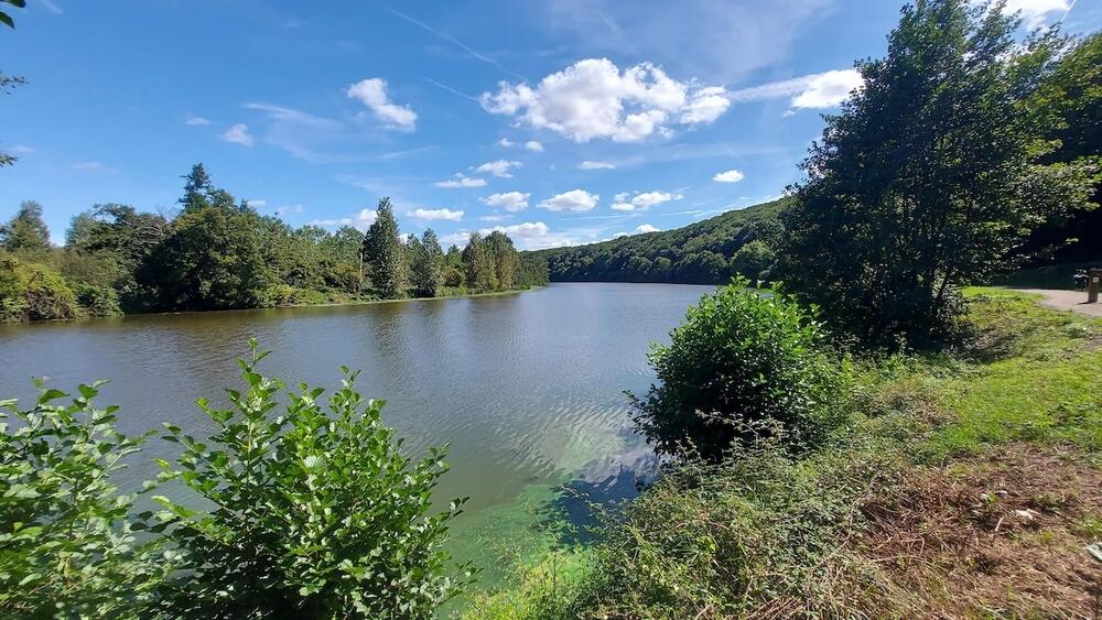 Les plus belles randonnées en Mayenne