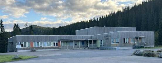 Bleikvassli skole