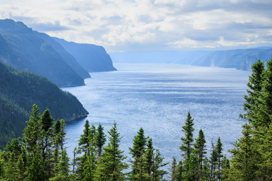 Fjord de Saguenay.jpg