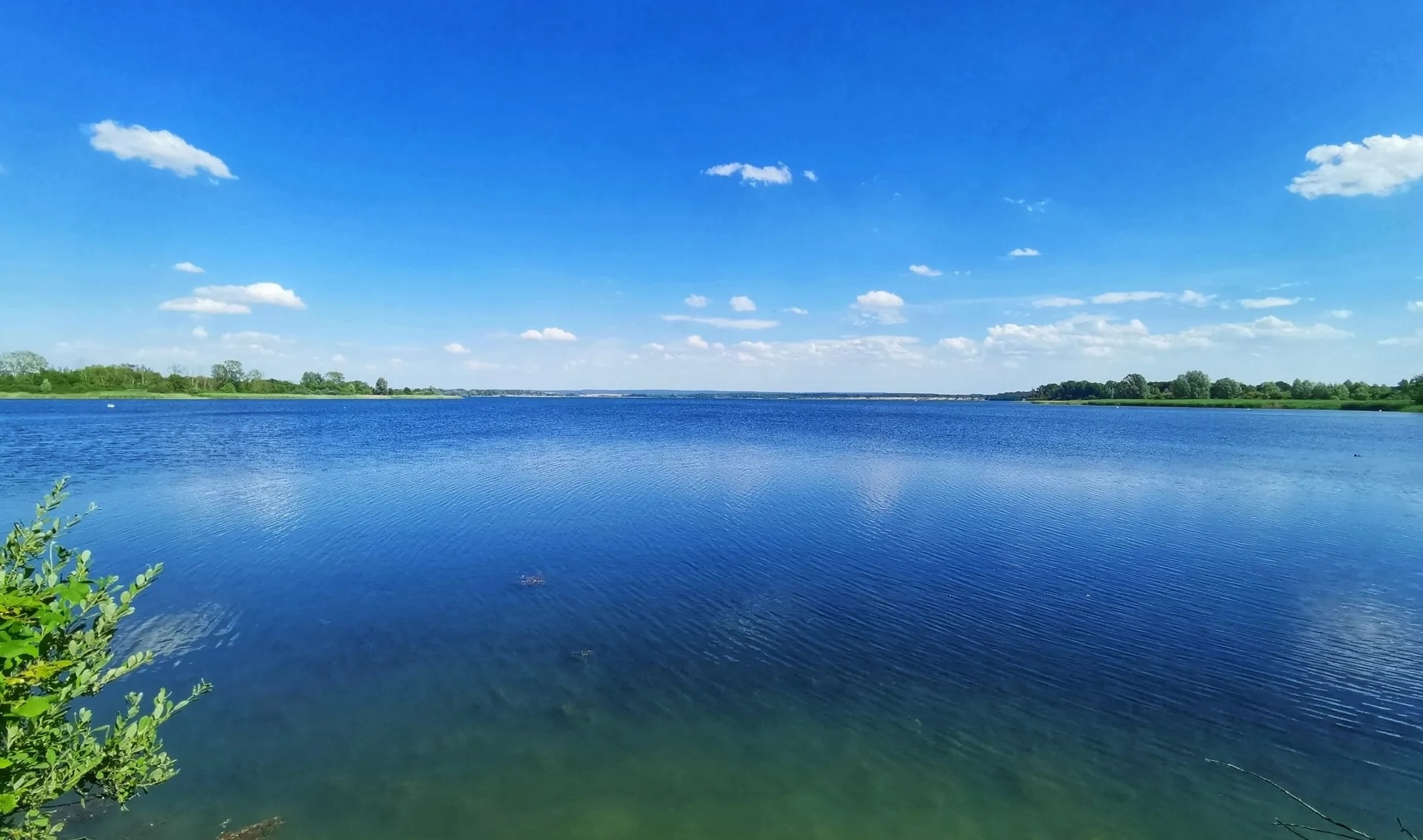Lac de Madine.jpg