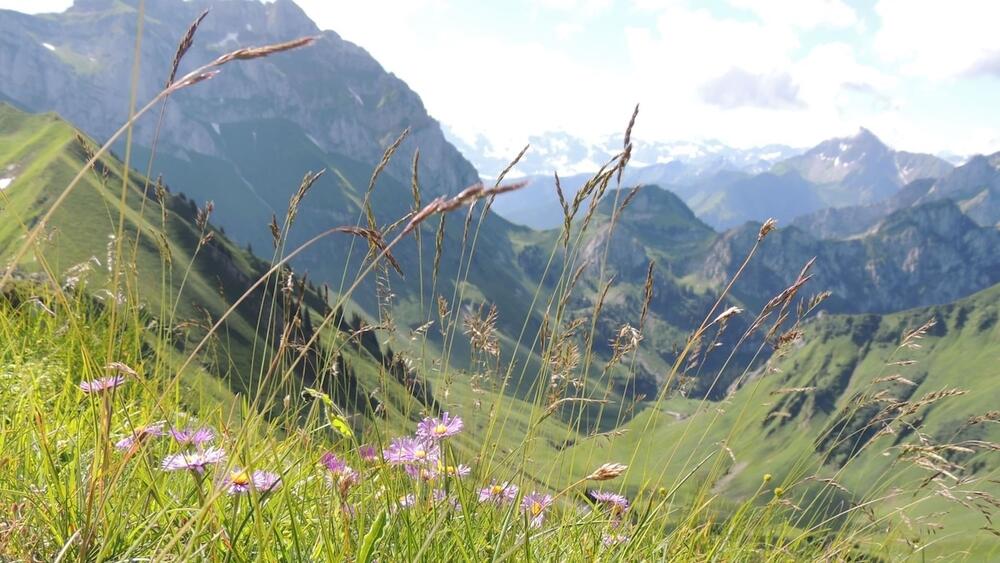 Plus belles randonnées à Abondance