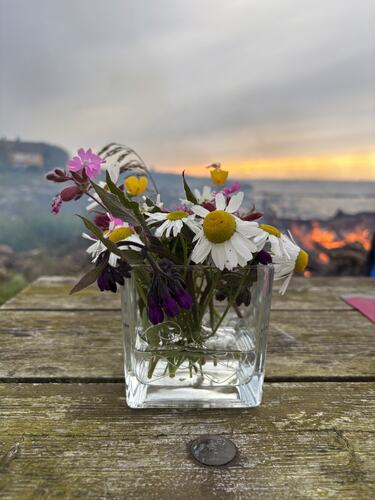 Midtsommer - markblomster og bål. (Foto: Lisbeth Larsen)