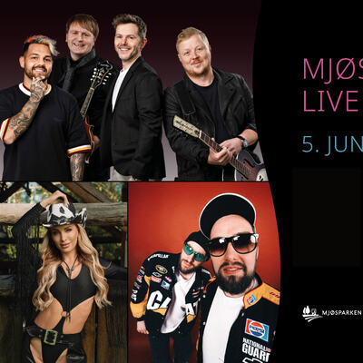 Mjøsparken Live 2027 artister