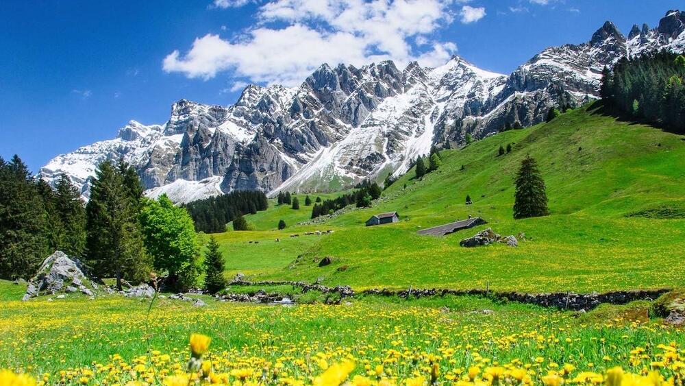 Plus belles randonnées dans le Toggenburg