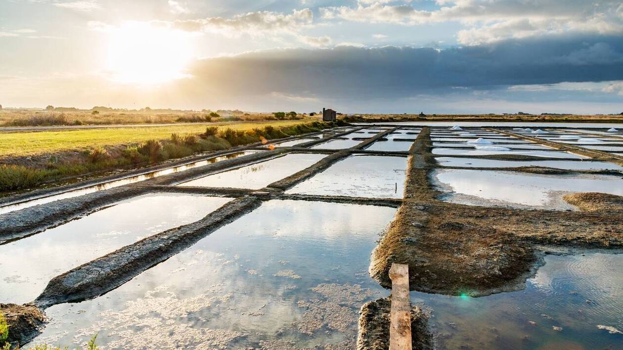 marais salants Noirmoutier.jpg