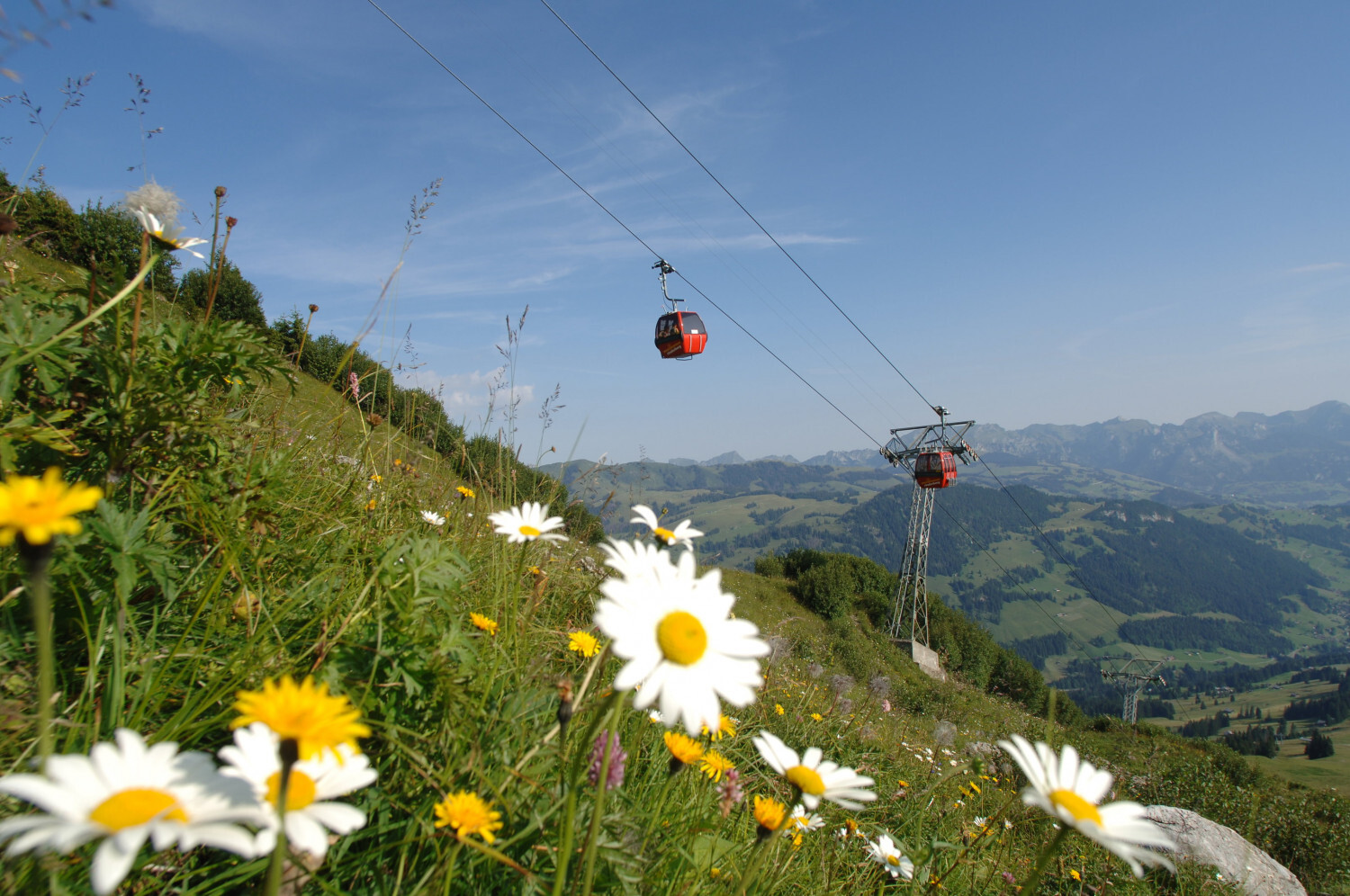 Rinderberg.jpg