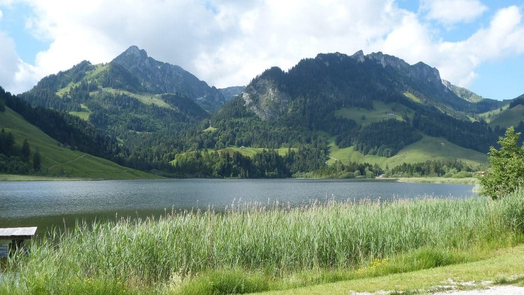 Tour du Lac Noir.jpg