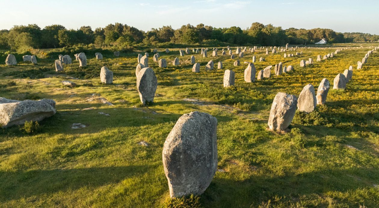 Menhirs Carnac.jpg