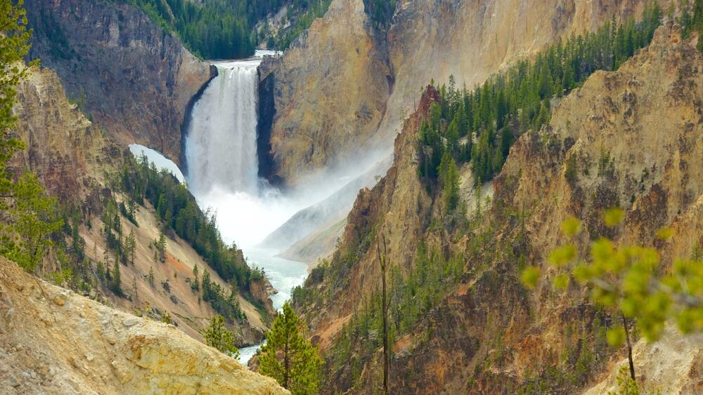Yellowstone Webcam