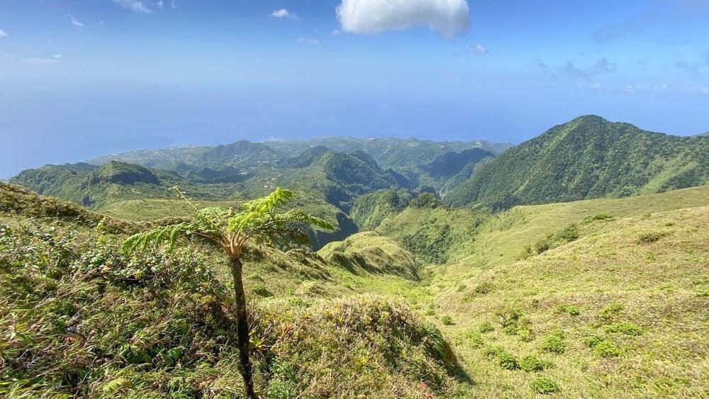 Plus belles randonnées en Martinique