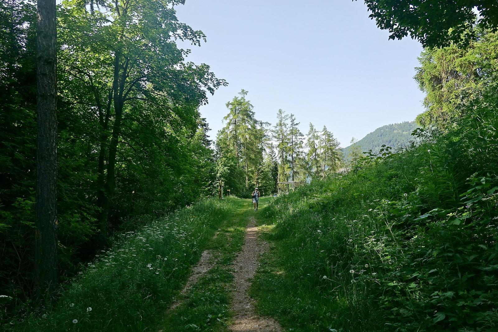 Bisse du Patier.jpg