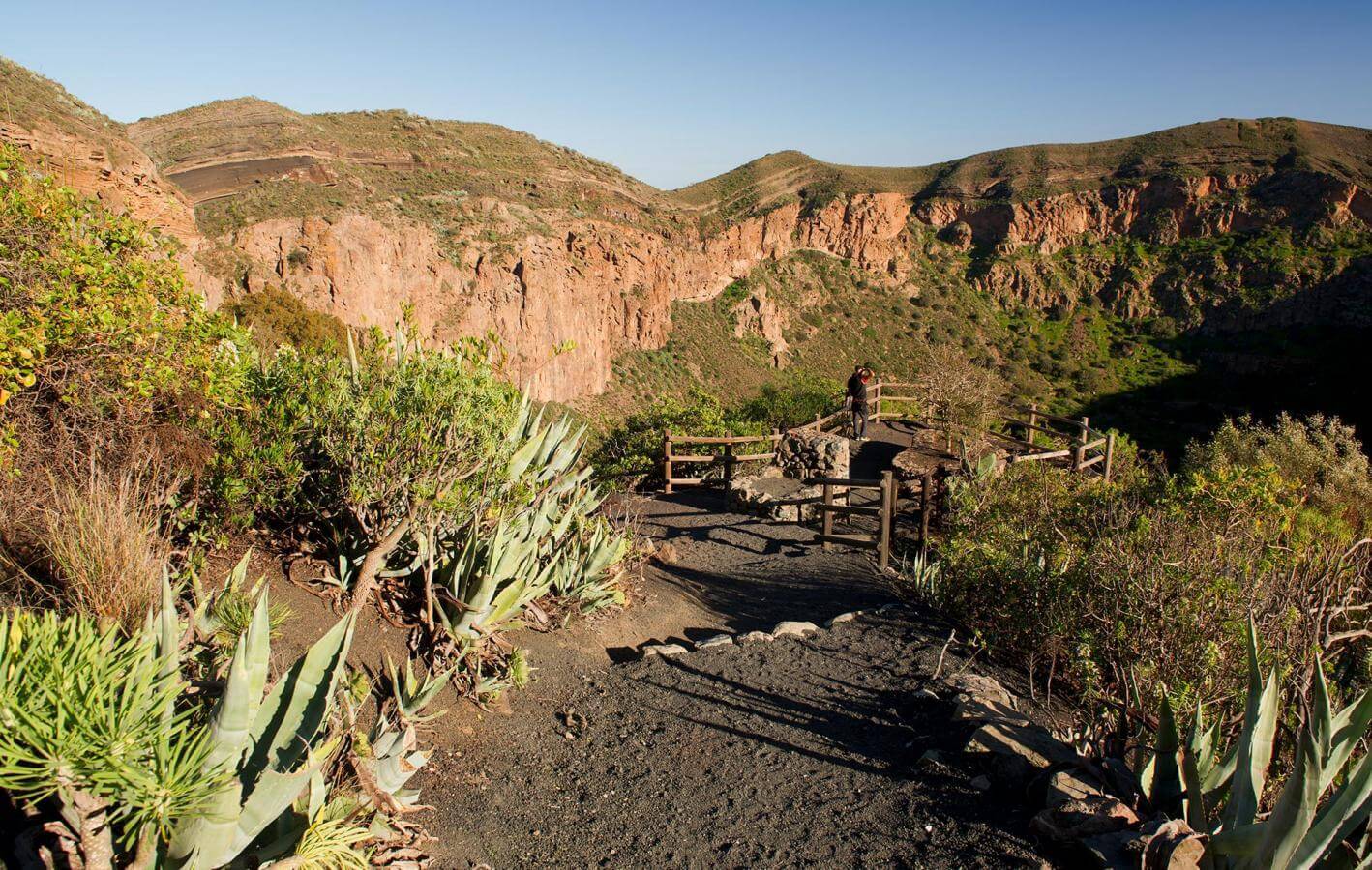 Caldera de Bandama.jpg