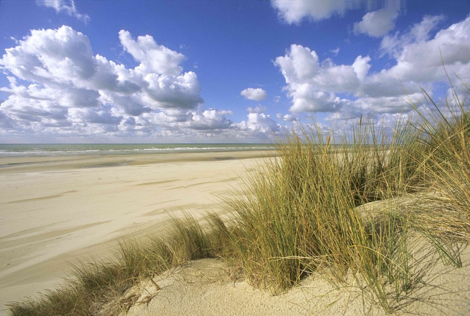dunes-flandre.jpg