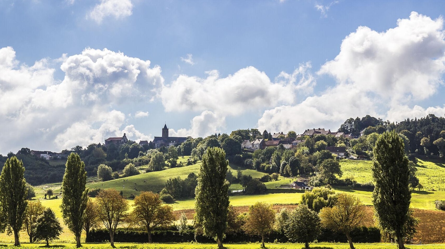 Mont Cassel.jpg