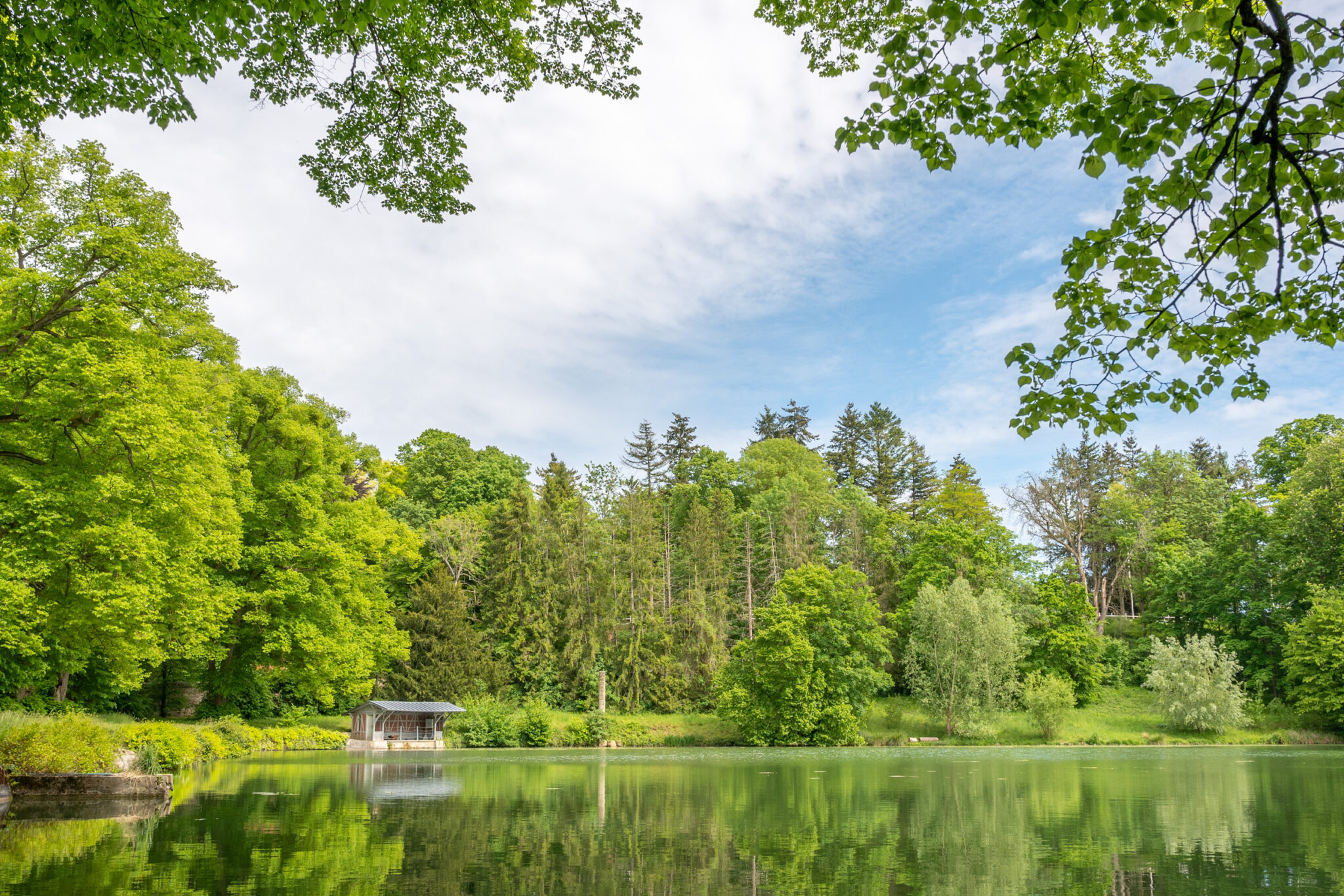 Foret Ermenonville.jpg