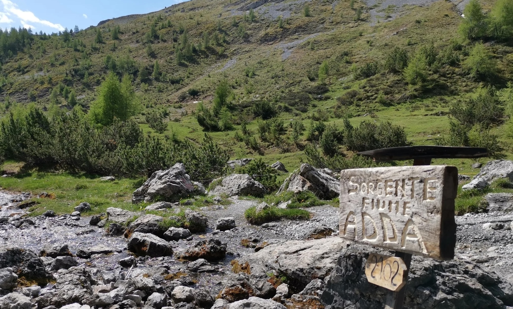 Source de l'Adda.jpg