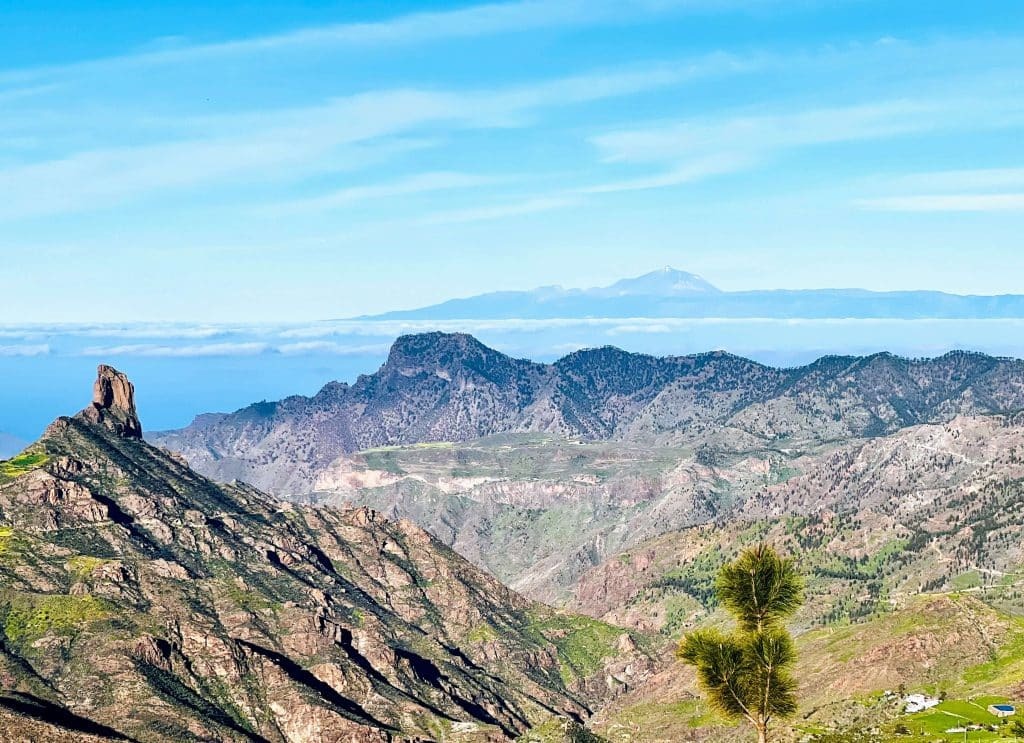 Pico de las Nieves.jpg