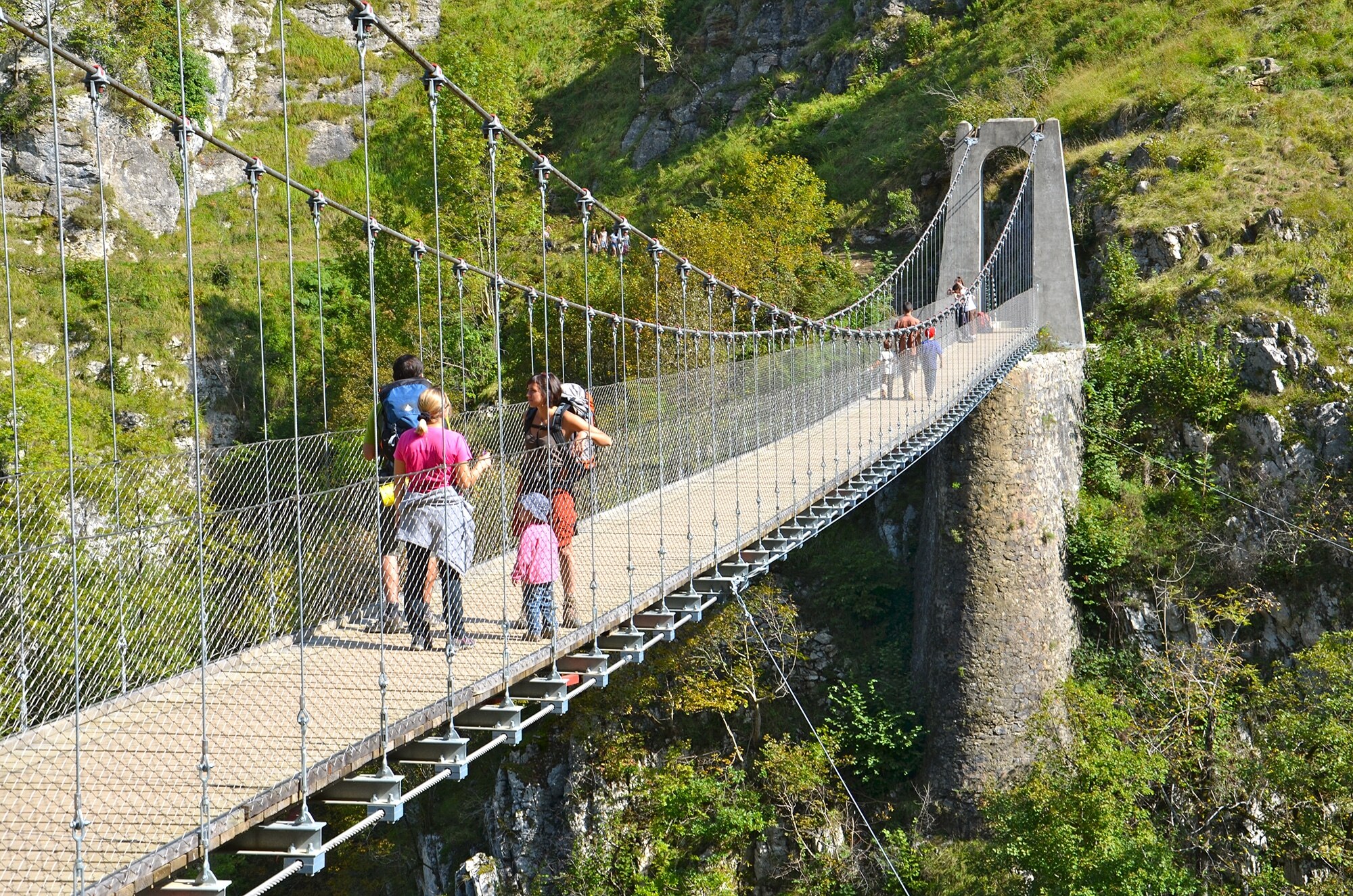 Passerelle Holzarte.jpg