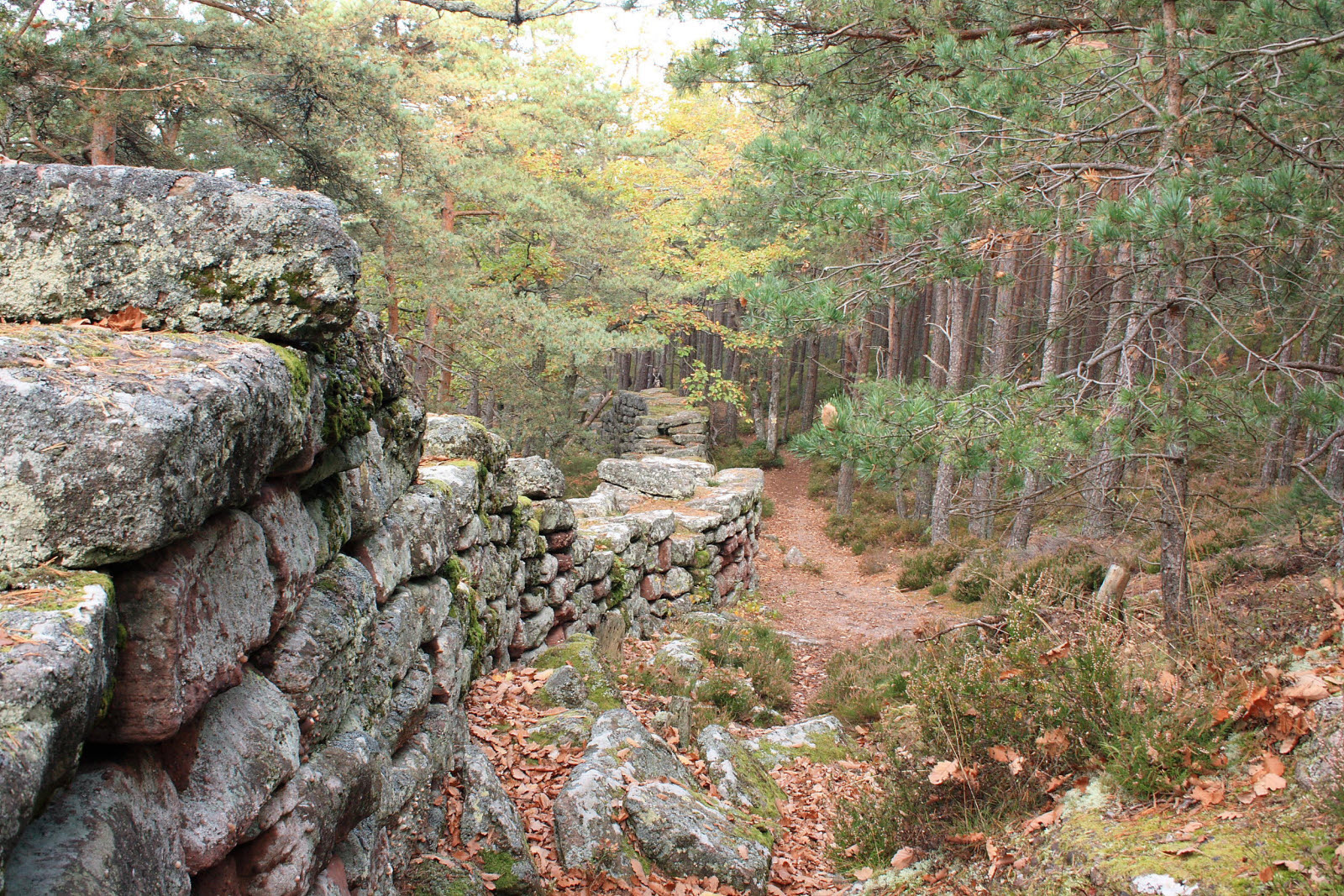 Mont Saint Odile Mur Paien.jpg