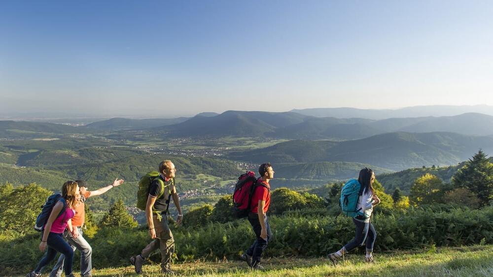 Plus belles randonnées dans le Bas Rhin