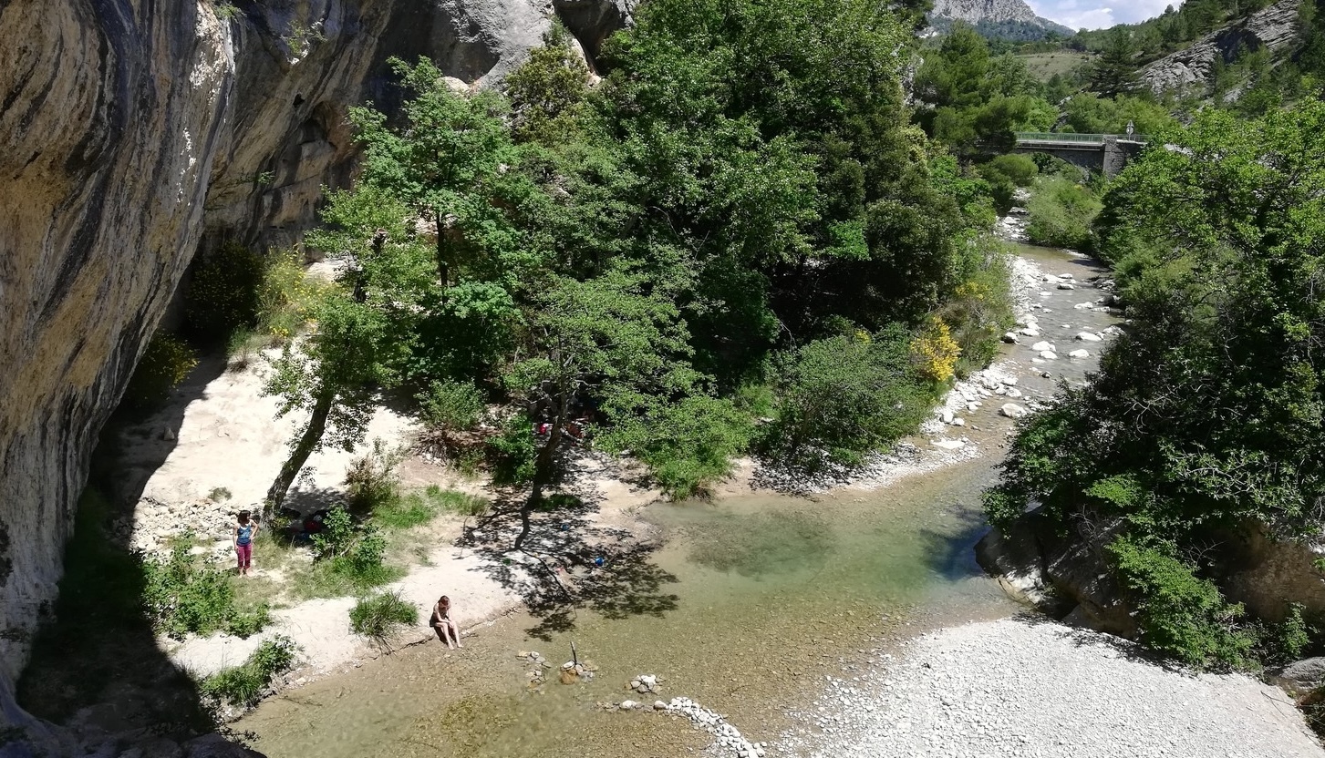 Buis les Baronnies.jpg