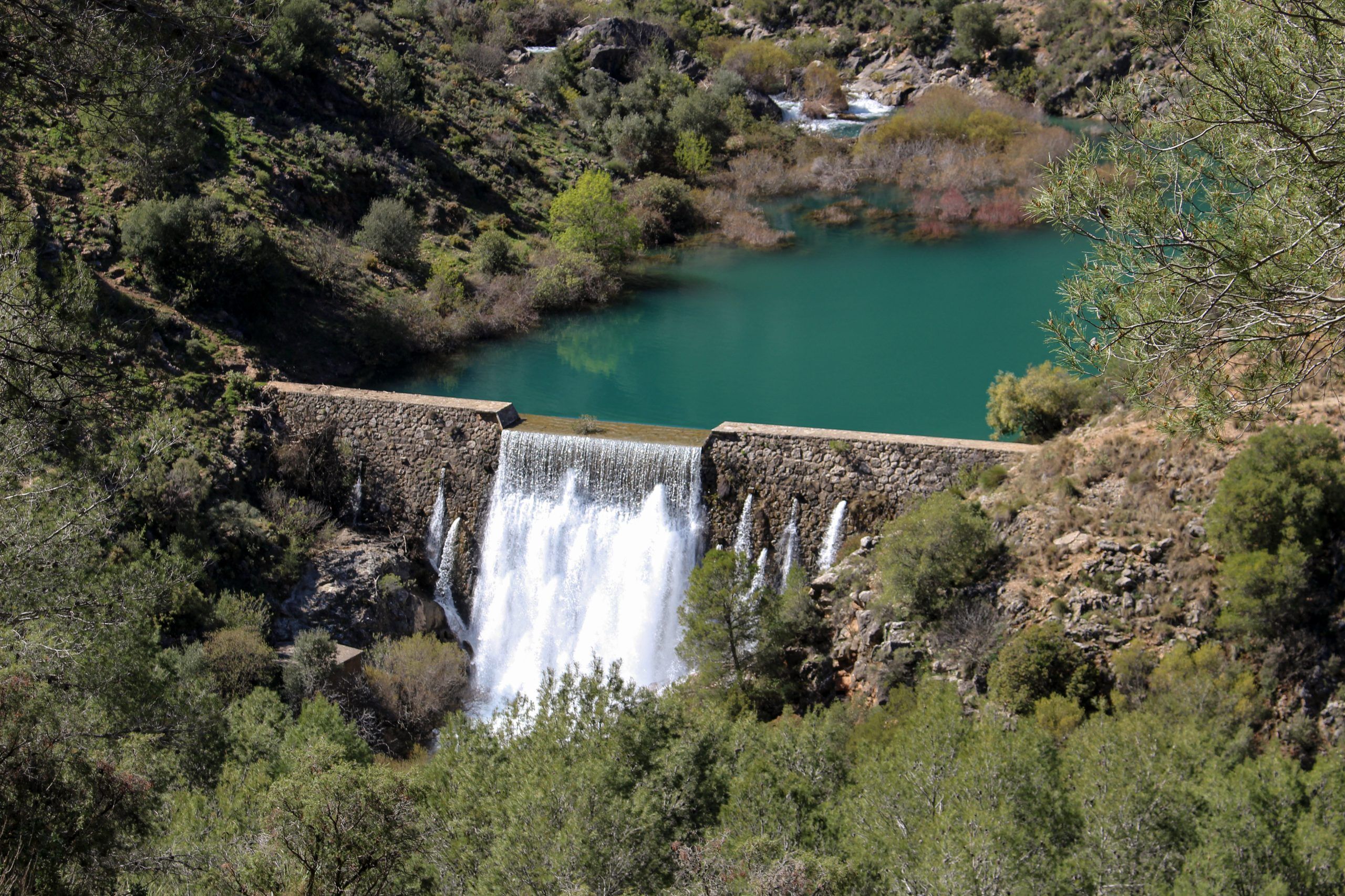 Sierra de las Nieves.jpg
