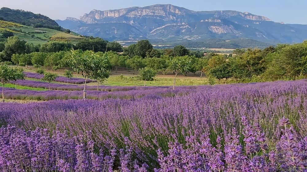 Plus belles randonnées dans le Diois