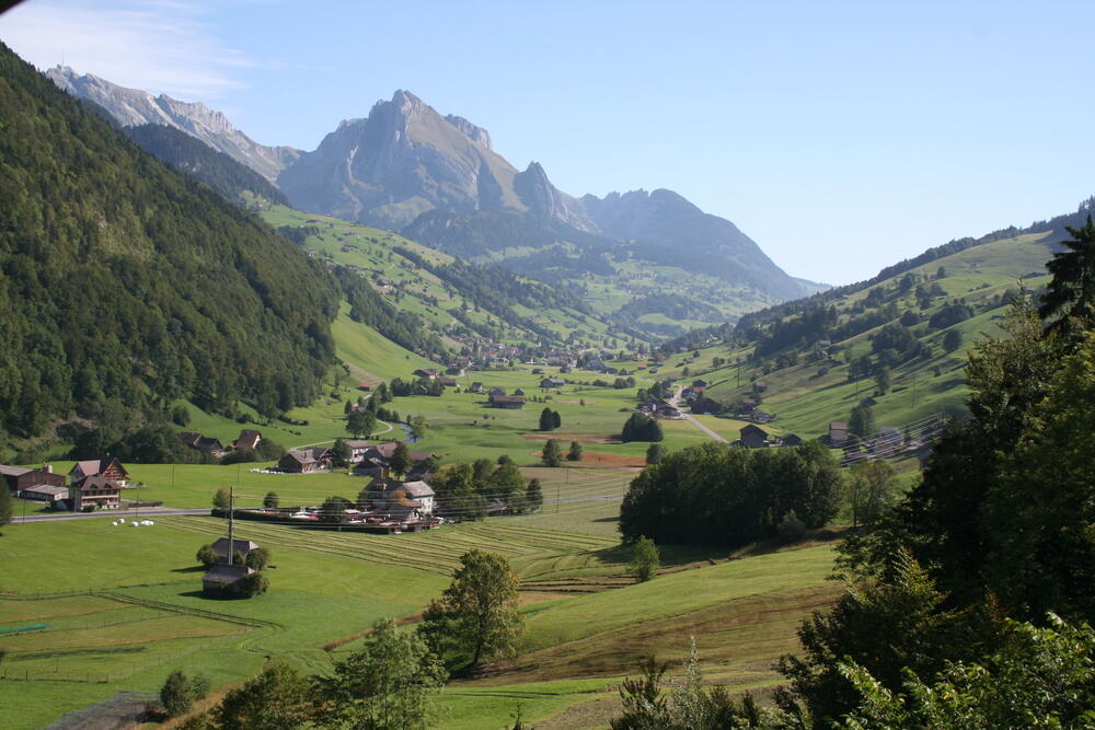 Webcam Toggenburg