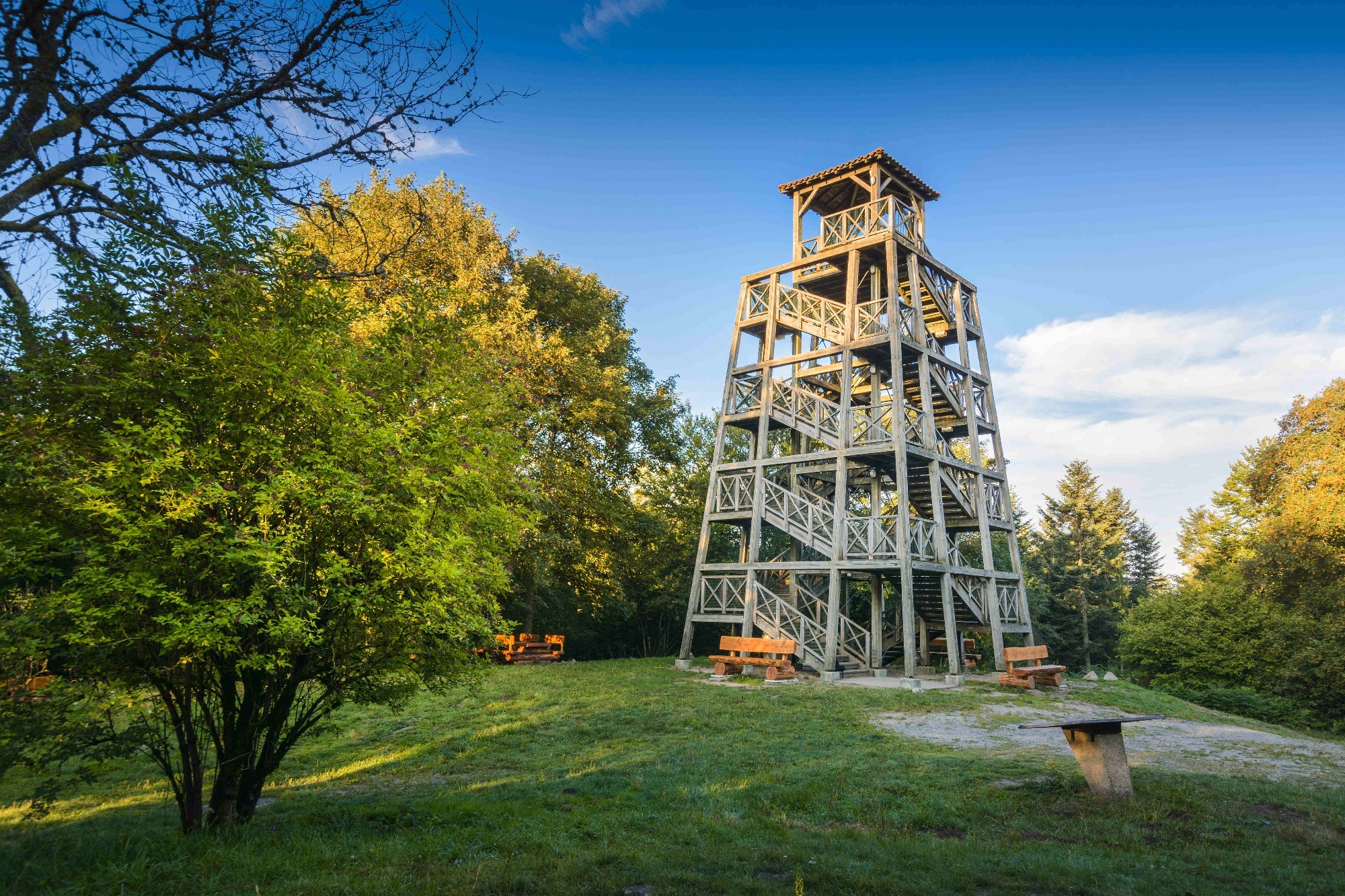 Mont Saint Rigaud.jpg