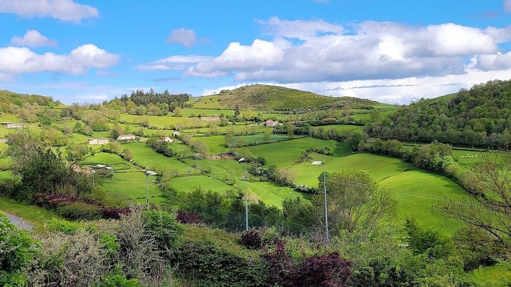 Plus belles randonnées Beaujolais Vert
