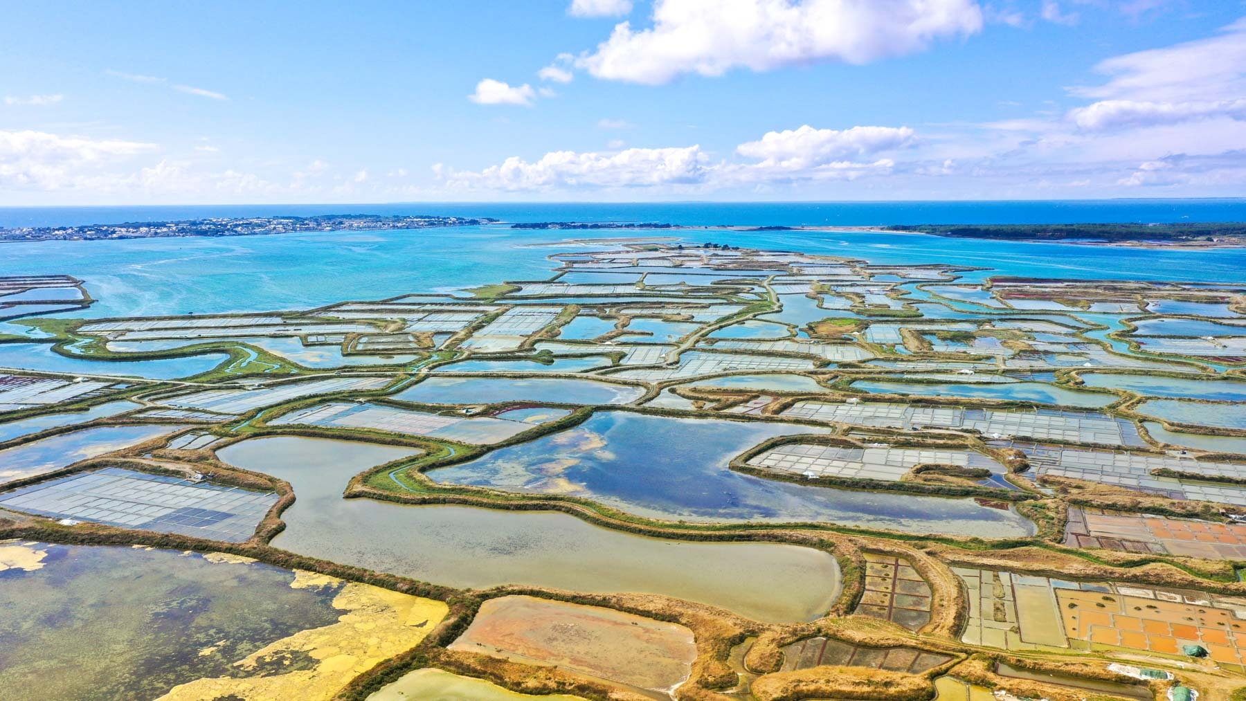 Marais Salants Guérande.jpg