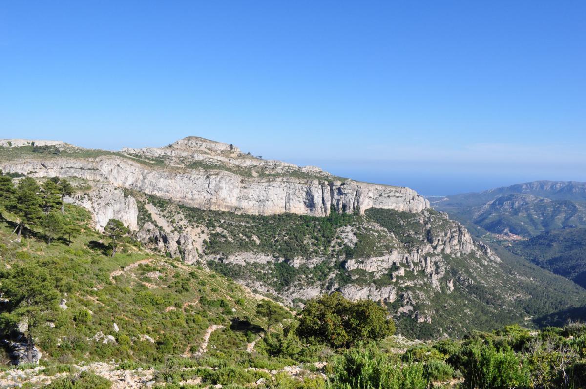 Serra de Llaberia.jpg