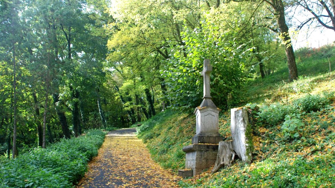 Colline de la Motte Vesoul.jpg